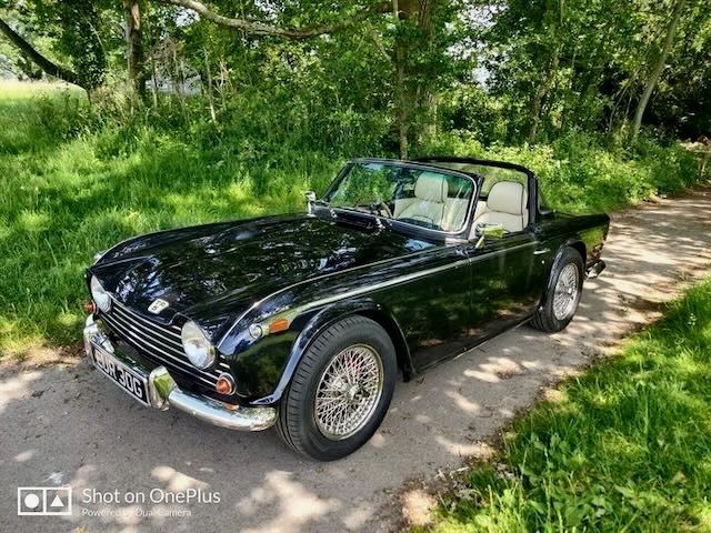 Rand Torman's Triumph TR5