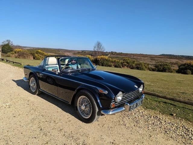 Rand Torman's Triumph TR5