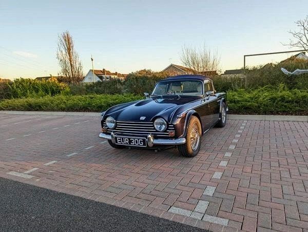 Rand Torman's Triumph TR5