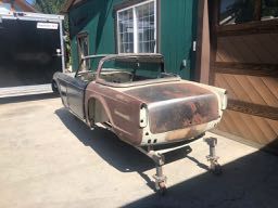 Richard Weyland's Triumph TR5