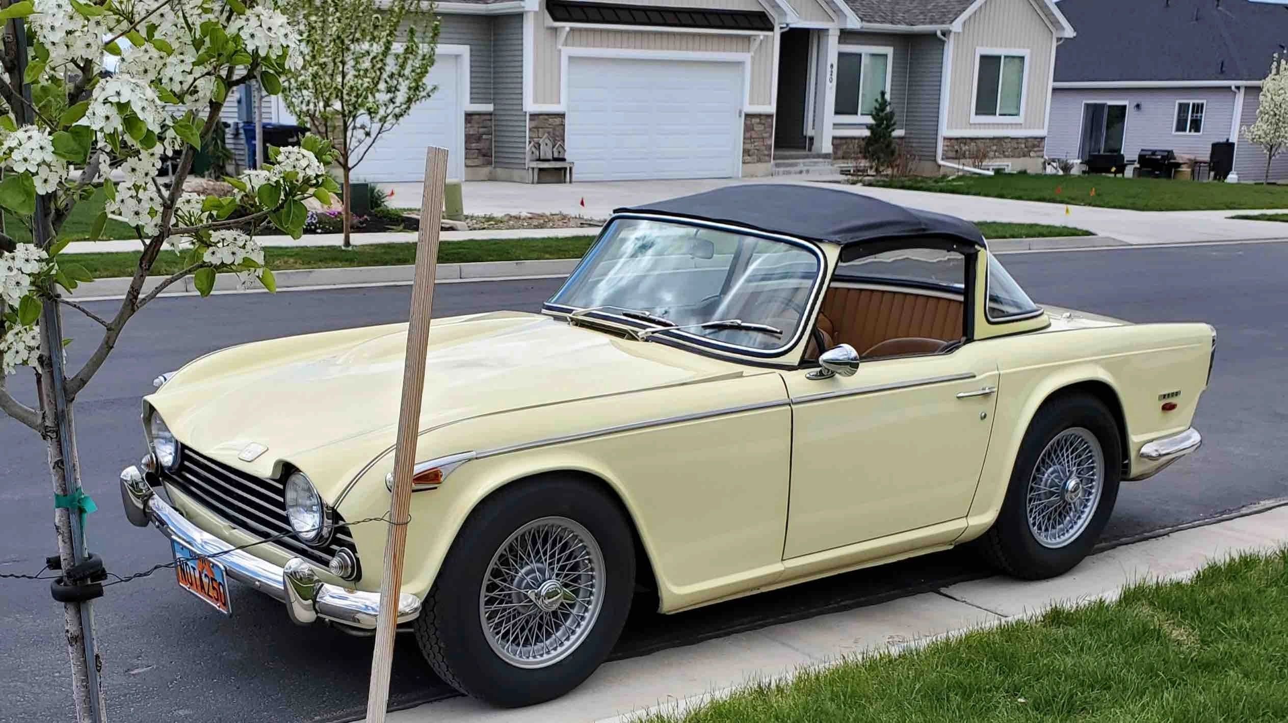 Robert Cameron's Triumph TR5